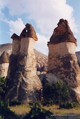 49.jpg  49